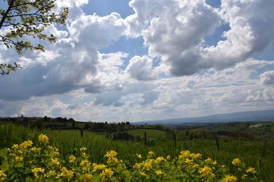 Terrain constructible - 516 m²