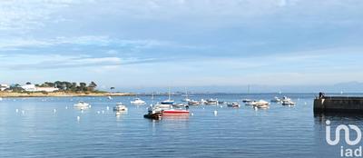 Appartement - 31 m² - 2 pièces