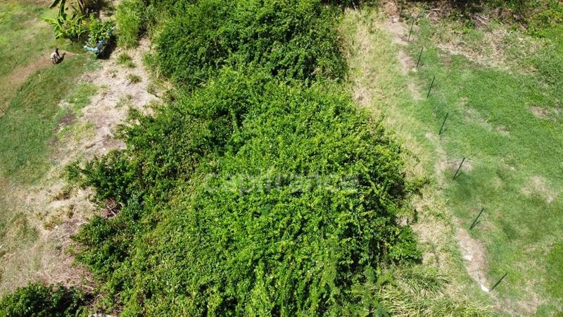 Terrain constructible - 722 m²