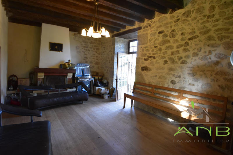 Manoir - 230 m² - 8 pièces