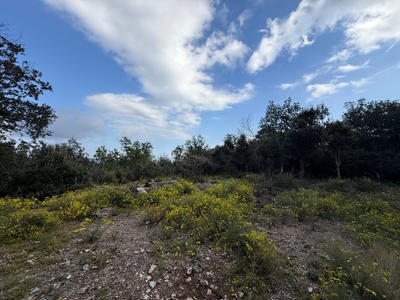 Terrain - 76 380 m²