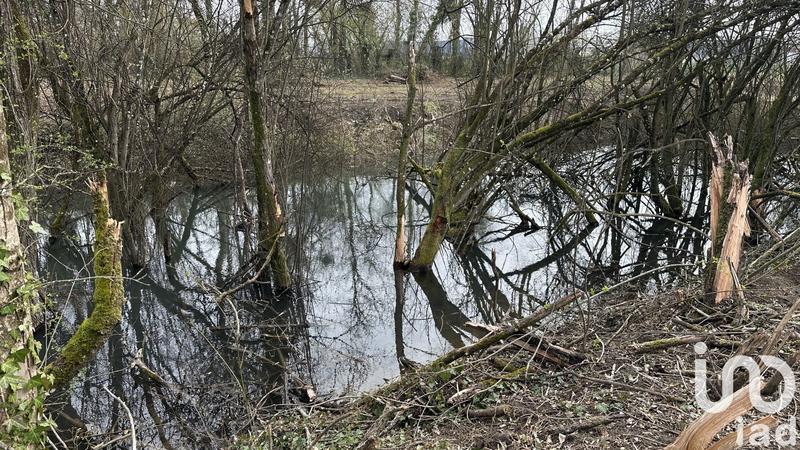 Terrain - 10 000 m²