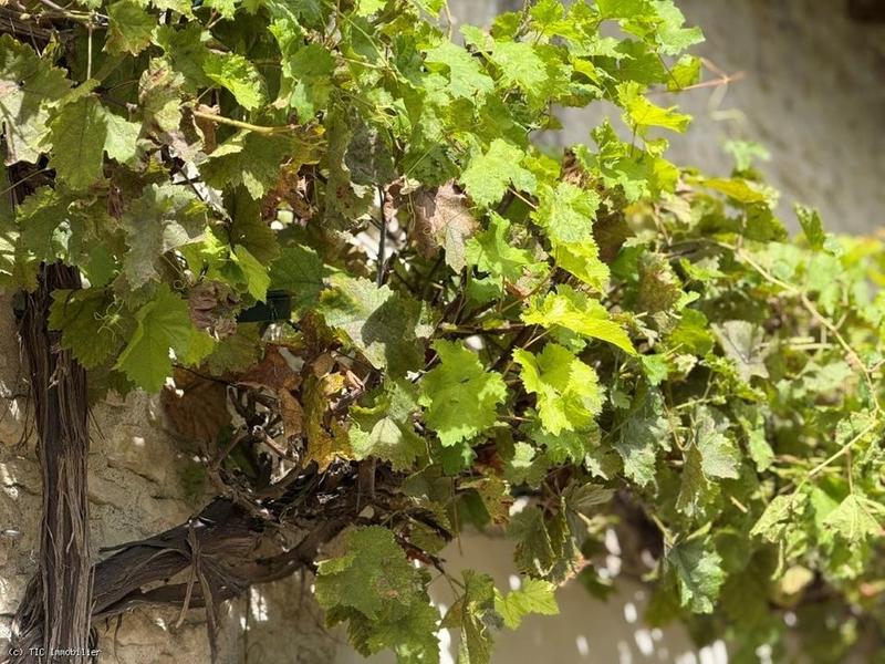 Maison en pierre - 125 m² - 4 pièces