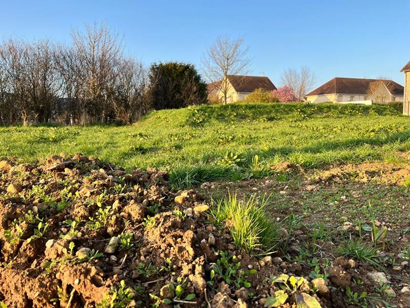 Terrain constructible - 600 m²