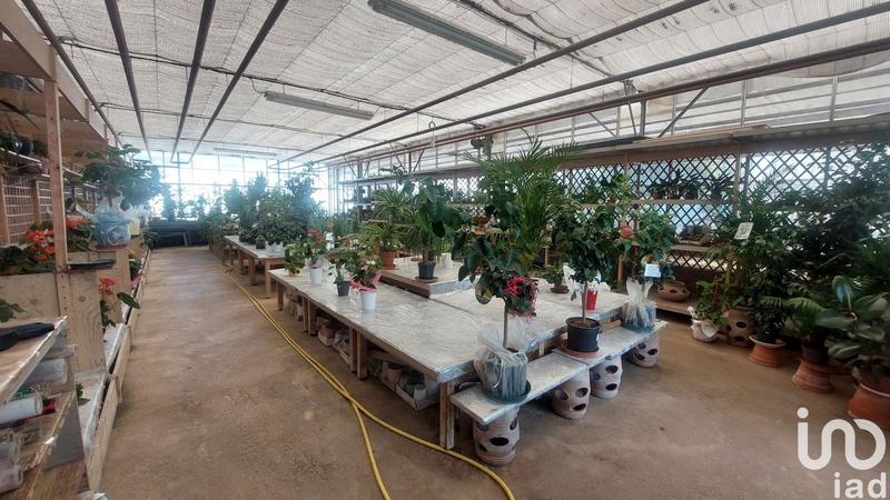 Local commercial - 5 500 m²