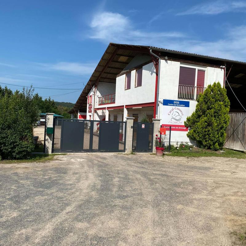 Sellerie Caval Connect