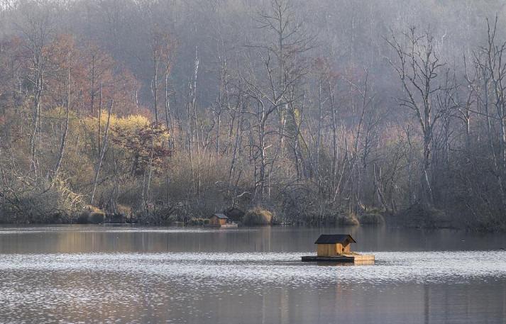 Manoir - 2 010 m² - 30 pièces