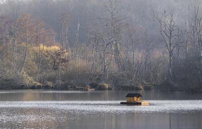 Manoir - 2 010 m² - 30 pièces