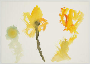 Les mini-mercredis : un jardin extraordinaire