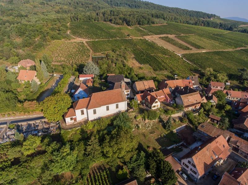 Les mystères du vignoble : Dieffenthal