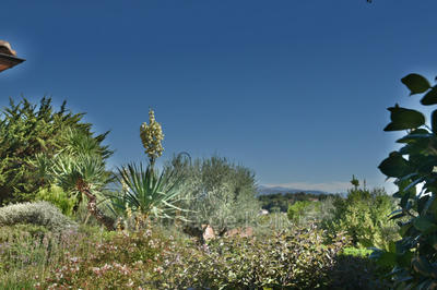 Villa - 196 m² - 6 pièces