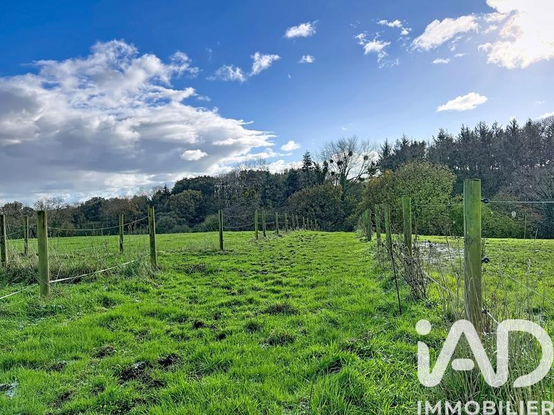 Maison - 145 m² - 7 pièces