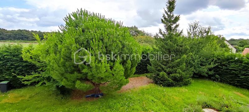 Maison - 155 m² - 7 pièces