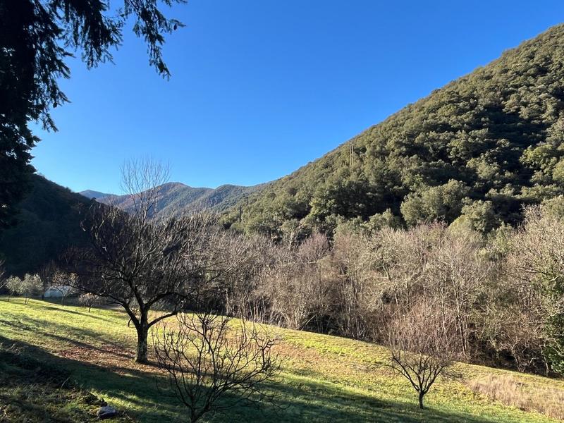 Maison - 321 m² - 15 pièces