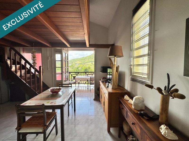 Duplex - 36 m² - 1 pièce