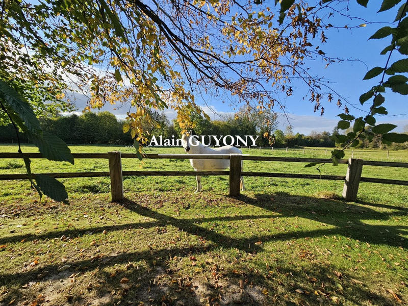 Maison ancienne - 190 m² - 6 pièces