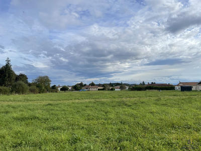 Terrain - 11 654 m²