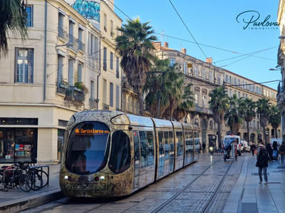 Fonds de commerce - Local commercial - 224 m²