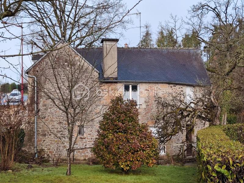 Maison en pierre - 100 m² - 5 pièces