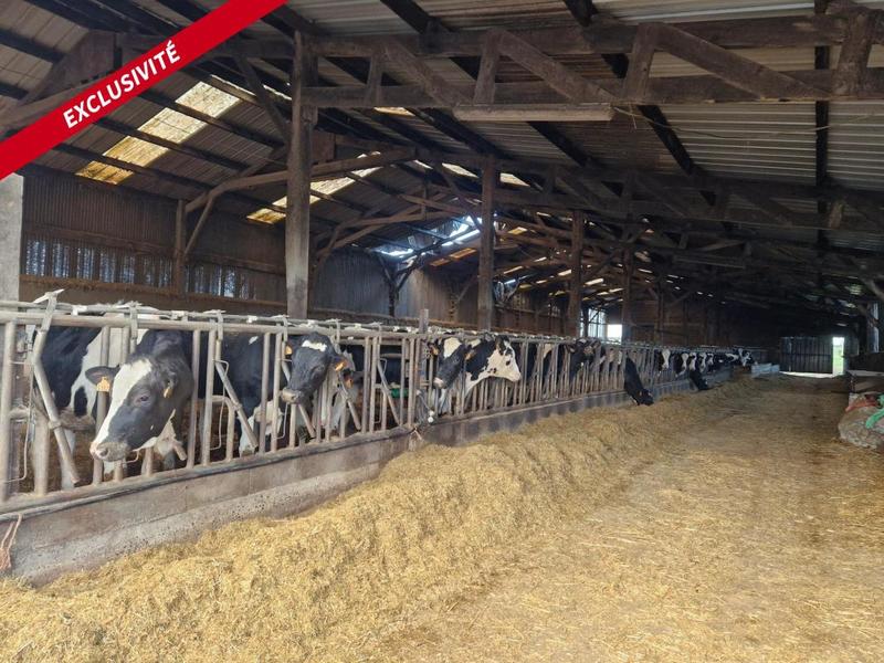 Maison - 2 000 m² - 3 pièces