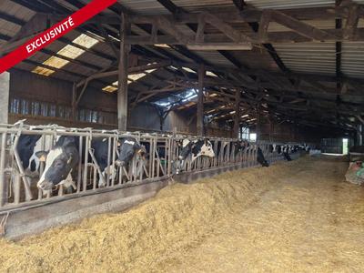 Maison - 2 000 m² - 3 pièces