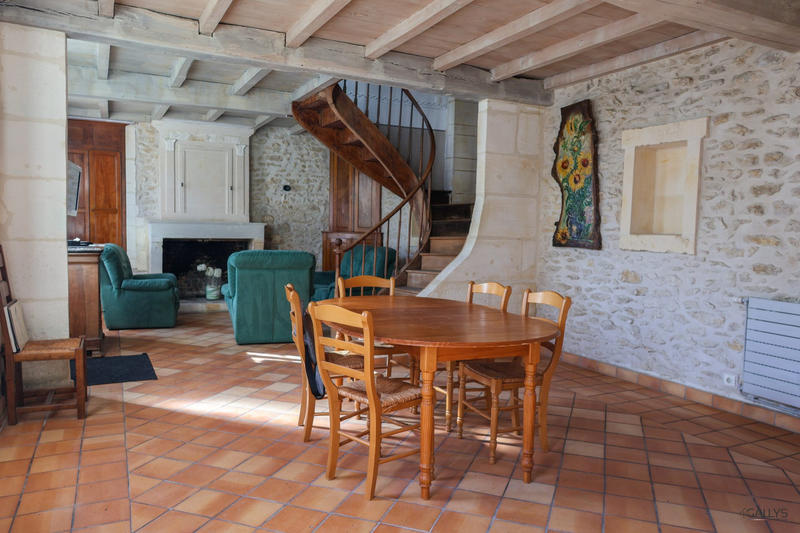 Maison ancienne - 540 m² - 9 pièces