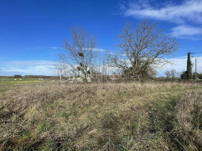 Terrain constructible - 1 132 m²