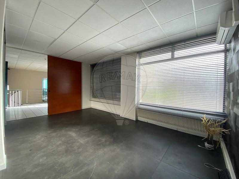 Bureau - 226 m² - 6 pièces