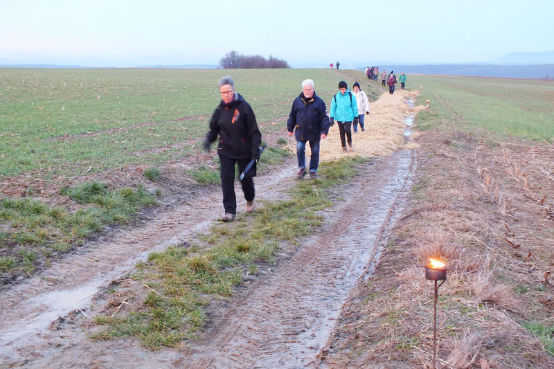 Marche de nuit à Val-de-Moder