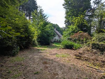 Maison - 174 m² - 5 pièces