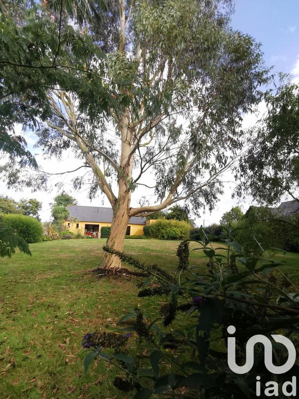 Maison - 147 m² - 6 pièces