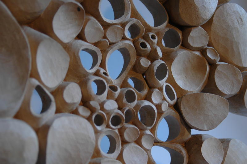 Cellules de Matière - Sculptures sur bois aux formes organiques