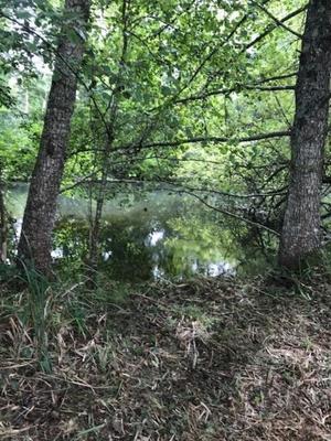 Maison de campagne - 137 m² - 4 pièces