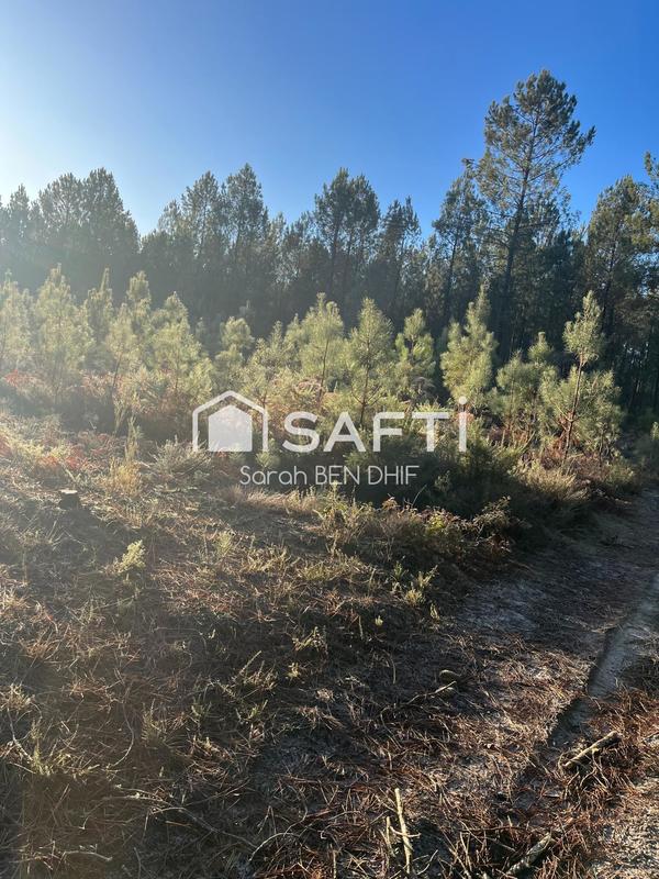 Terrain agricole - 11 400 m²