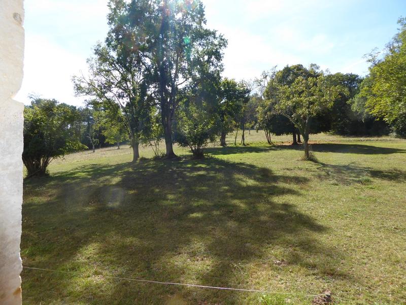 Château - 537 m² - 14 pièces