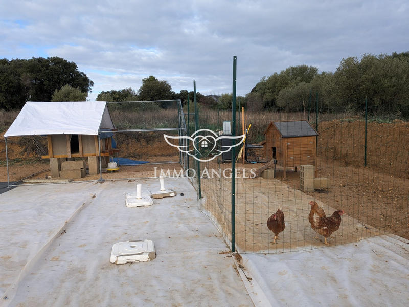 Maison contemporaine - 206 m² - 5 pièces