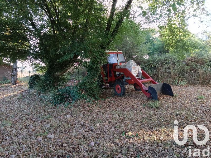 Terrain - 30 533 m²