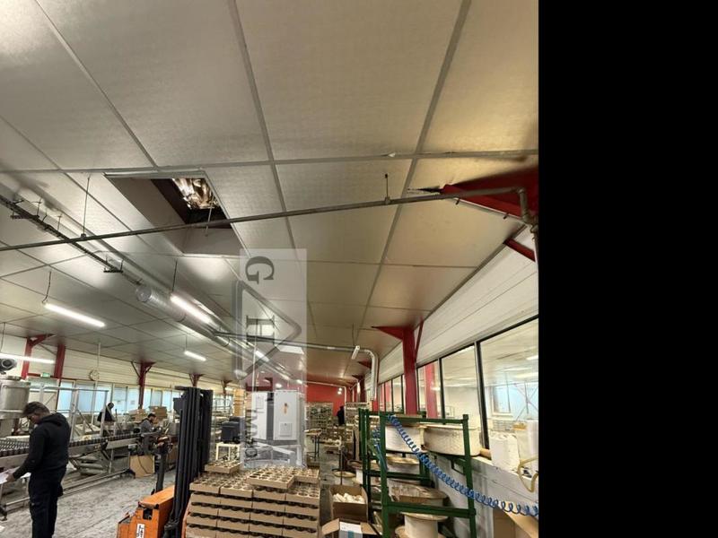 Entrepôt - 1 130 m²