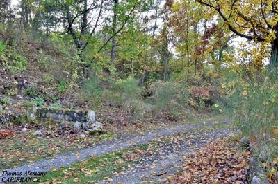 Terrain constructible - 3 802 m²