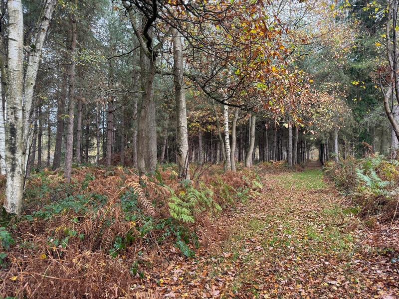 Maison - 116 m² - 4 pièces