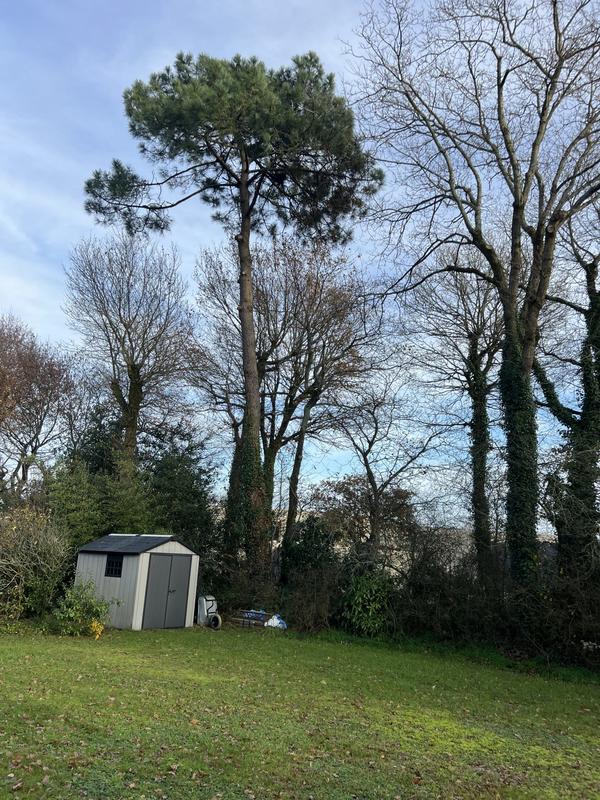 Maison - 106 m² - 6 pièces