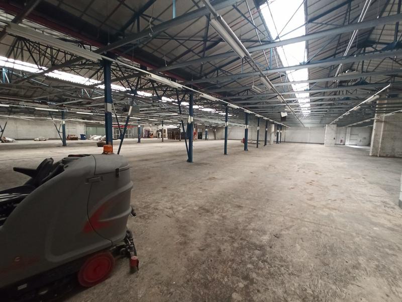 Local commercial - 5 000 m²