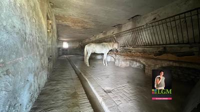 Corps de ferme - 192 m² - 1 pièce