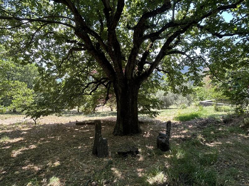 Maison - 335 m² - 13 pièces