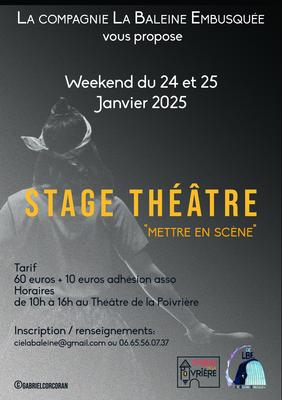 Stage de théâtre "Mettre en scène"