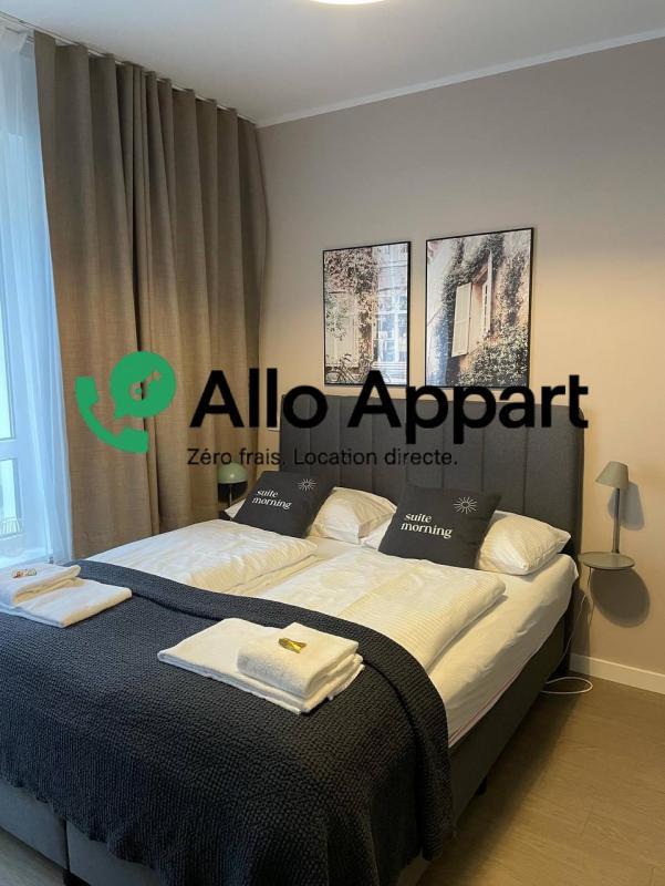 Studio - 19 m² - 1 pièce