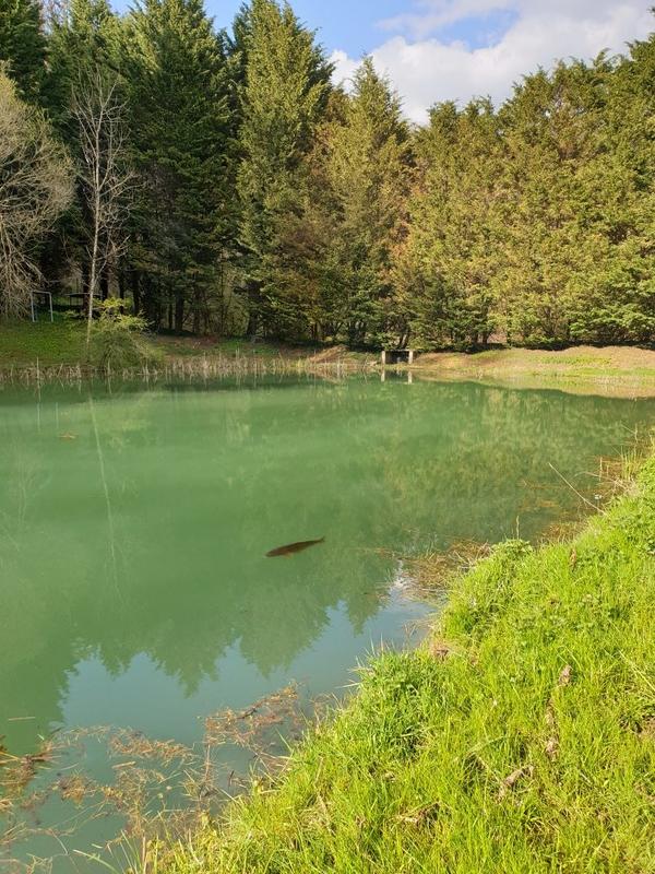 Terrain de loisirs - 3 200 m²