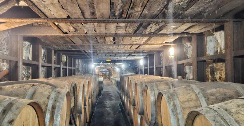 Manoir - 980 m² - 12 pièces