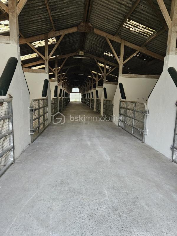 Terrain - 400 000 m²