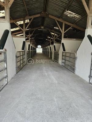 Terrain - 400 000 m²